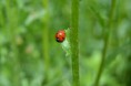 /album/fotogalerij/heemtuin07-05-14-002-jpg/